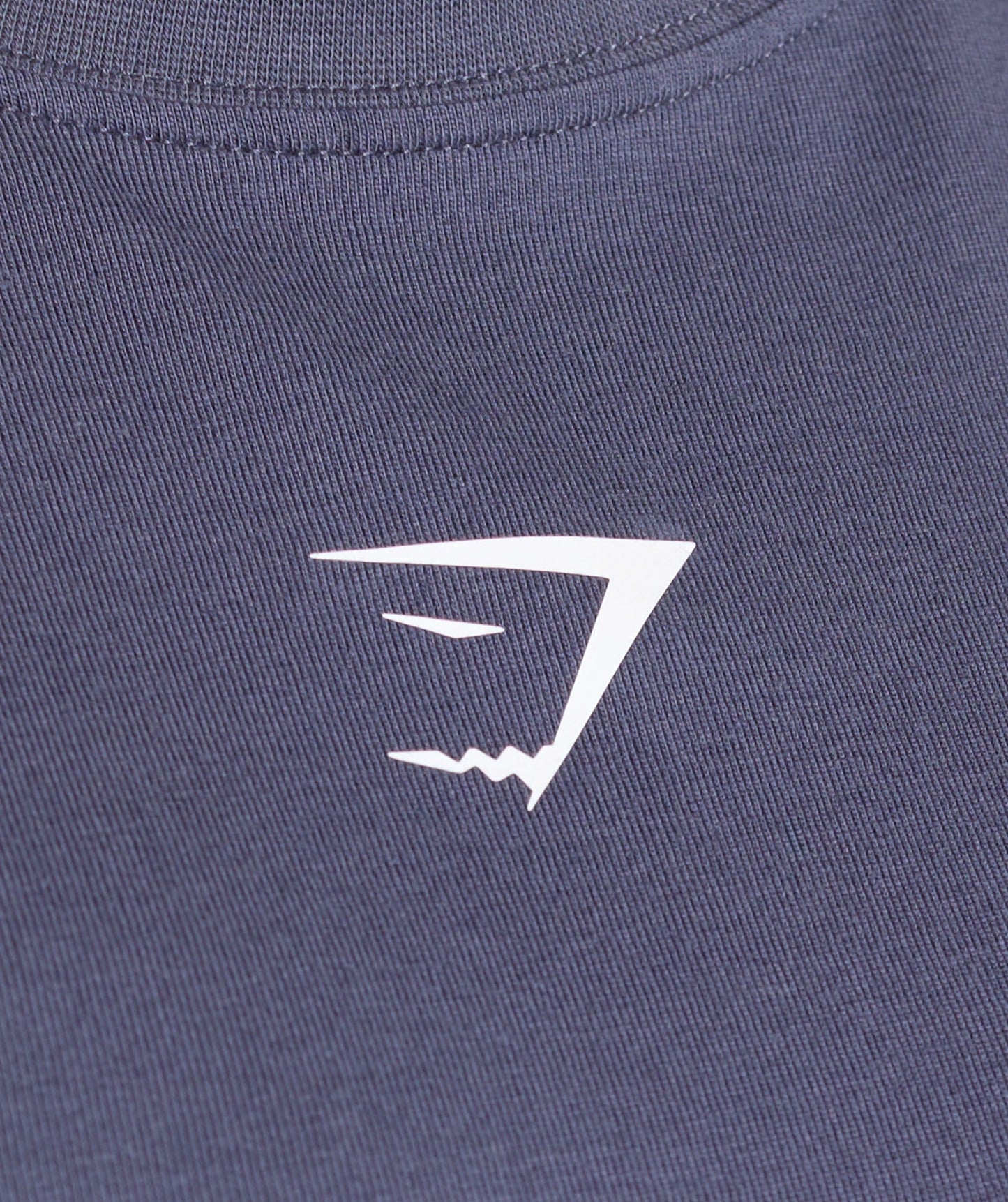 Gymshark Trace Graphic Oversized T-Shirt - Weighted Purple
