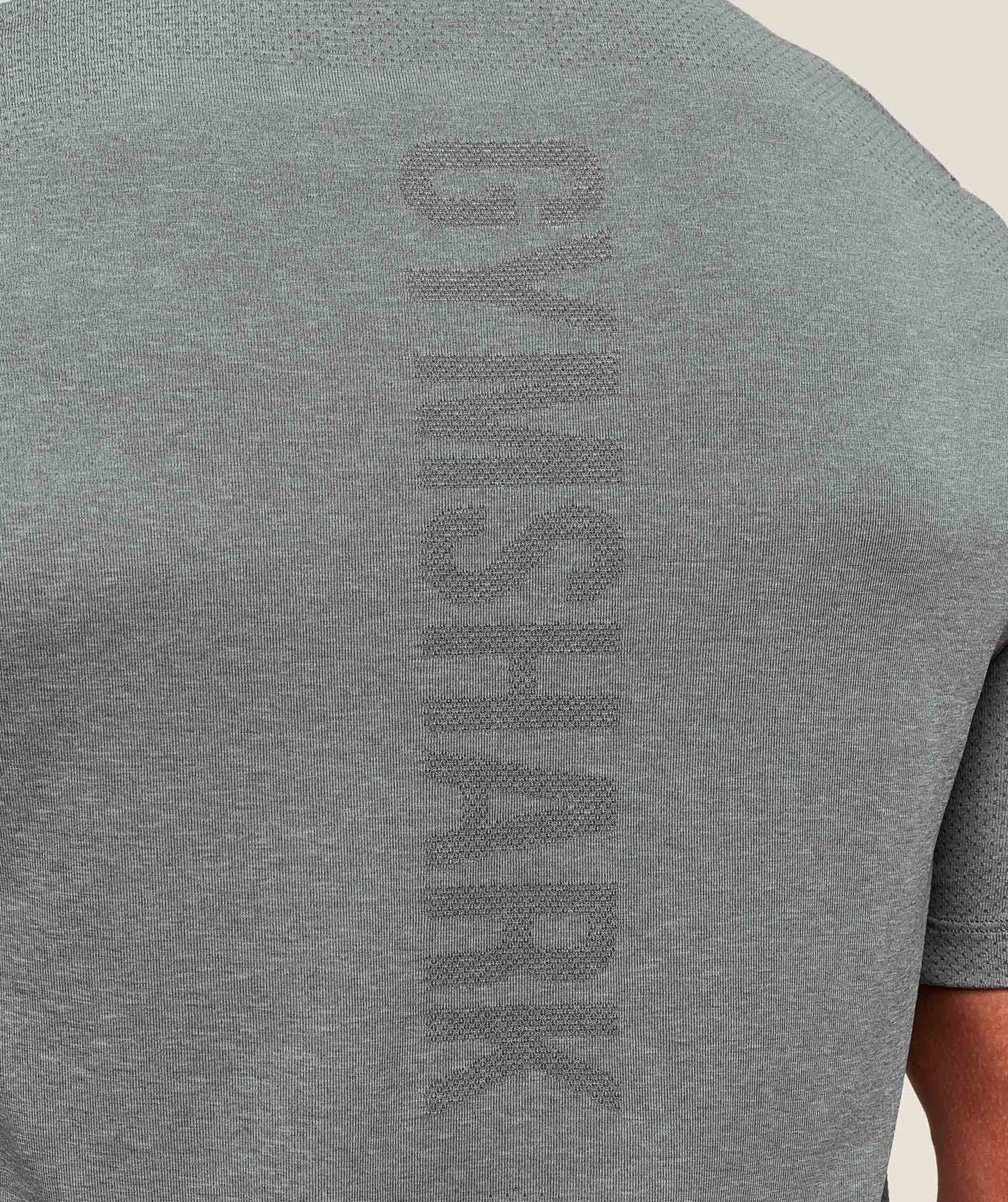 Gymshark Lightweight Seamless T-Shirt - Light Grey/Smokey Grey