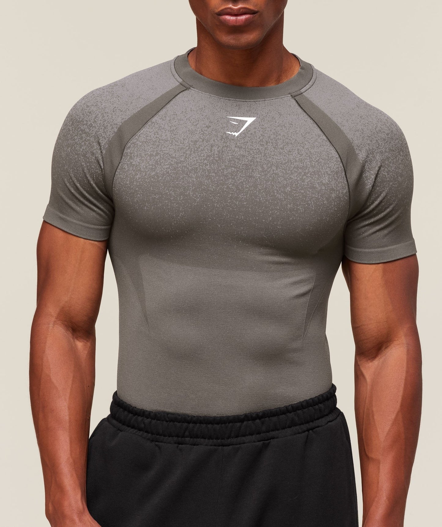 Gymshark Shadow Seamless T Shirt - Meteor Grey
