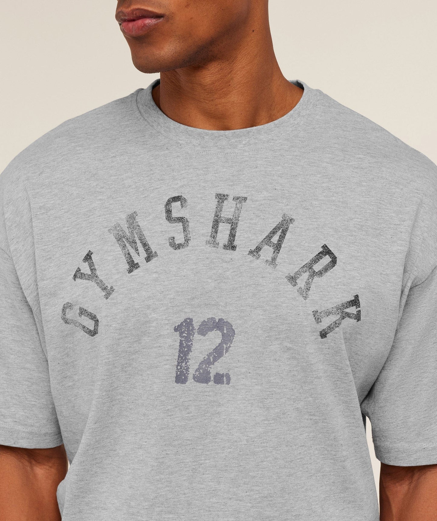 Gymshark 12 Graphic T-Shirt - Light Grey Core Marl