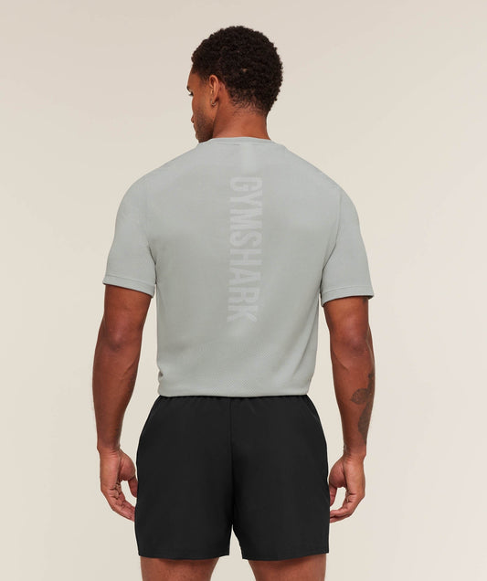 Gymshark Lightweight Seamless T-Shirt - Denim Grey/Light Grey