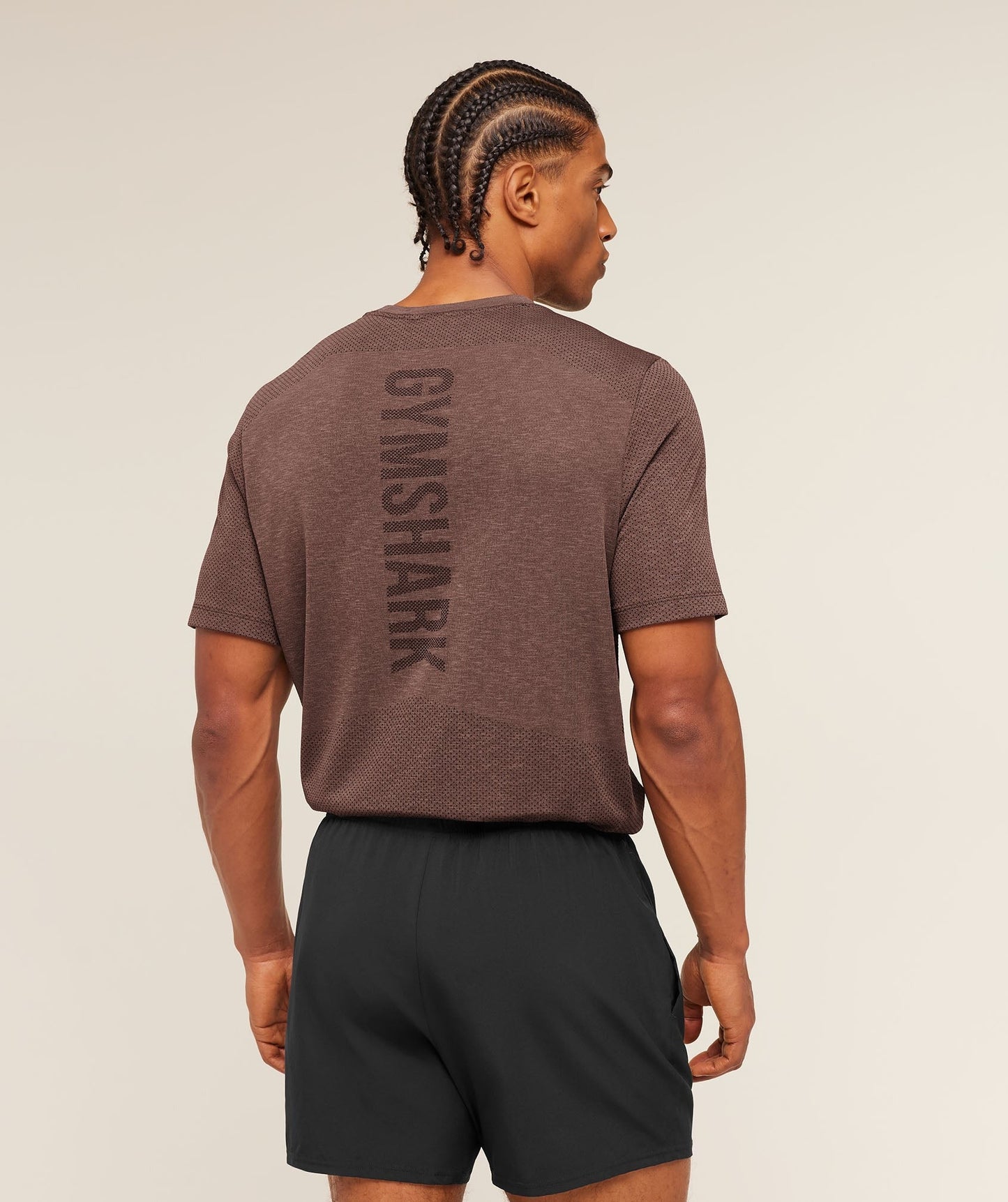 Gymshark Lightweight Seamless T-Shirt - Soft Brown/Marl