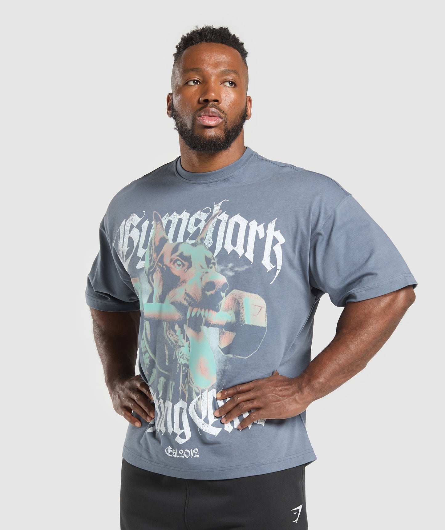 Gymshark Doberman Graphic T-Shirt - Iron Blue