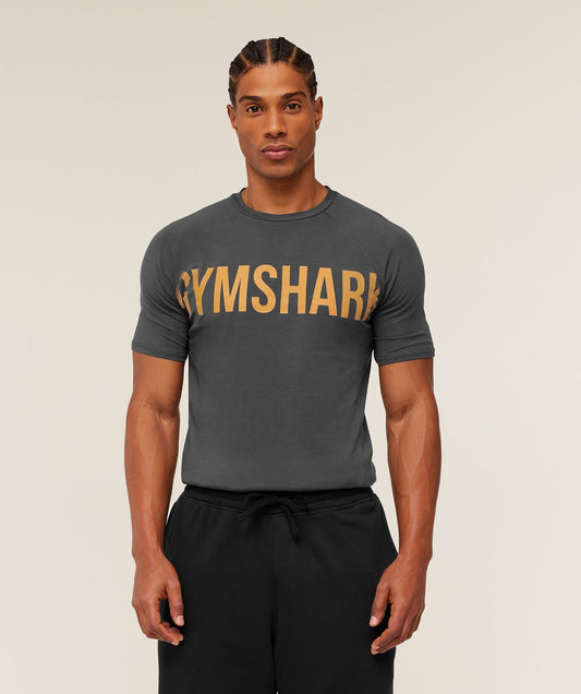 Gymshark Prime T-Shirt - Grey/Antique Gold