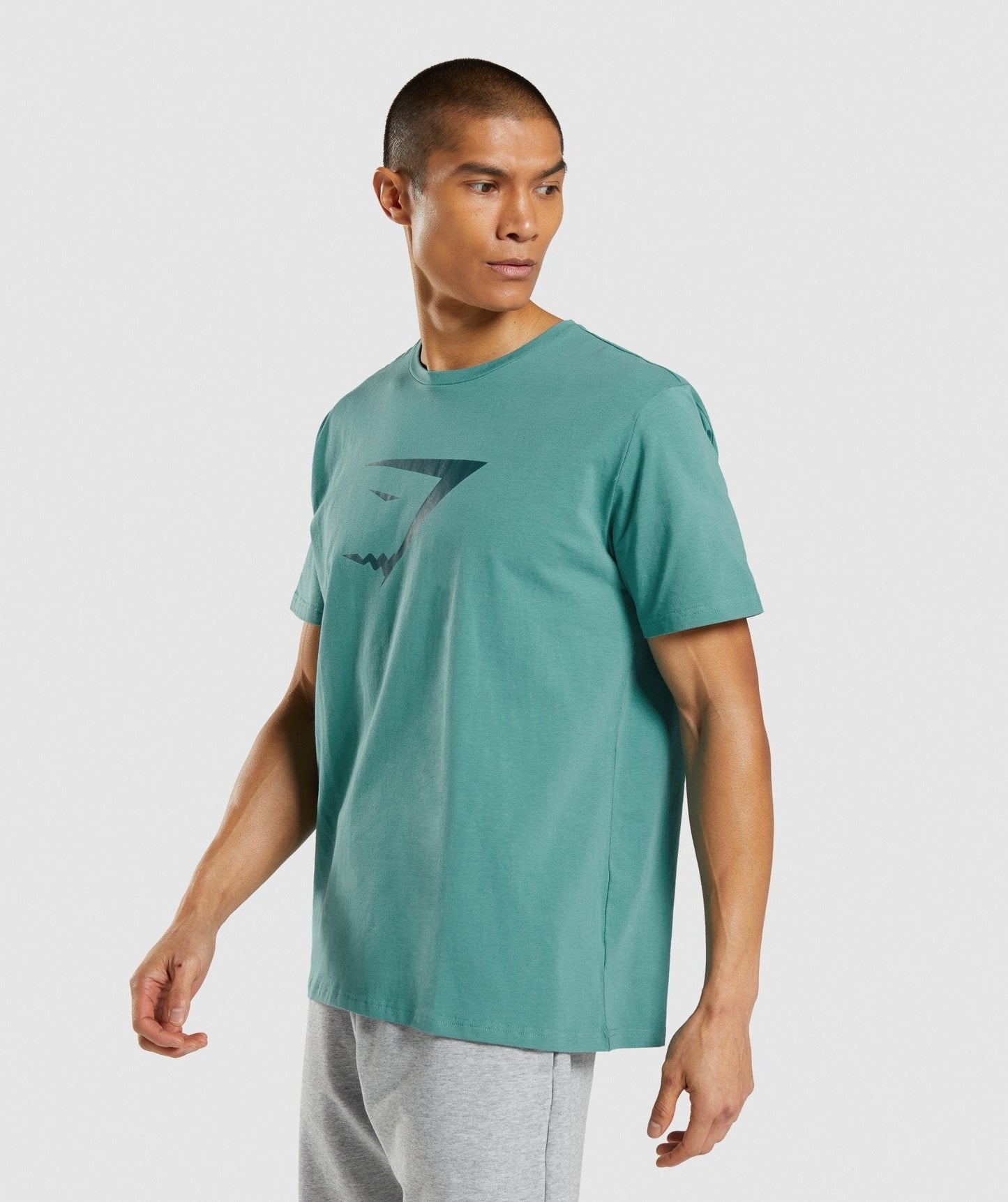 Gymshark Sharkhead Infill T-Shirt - Teal