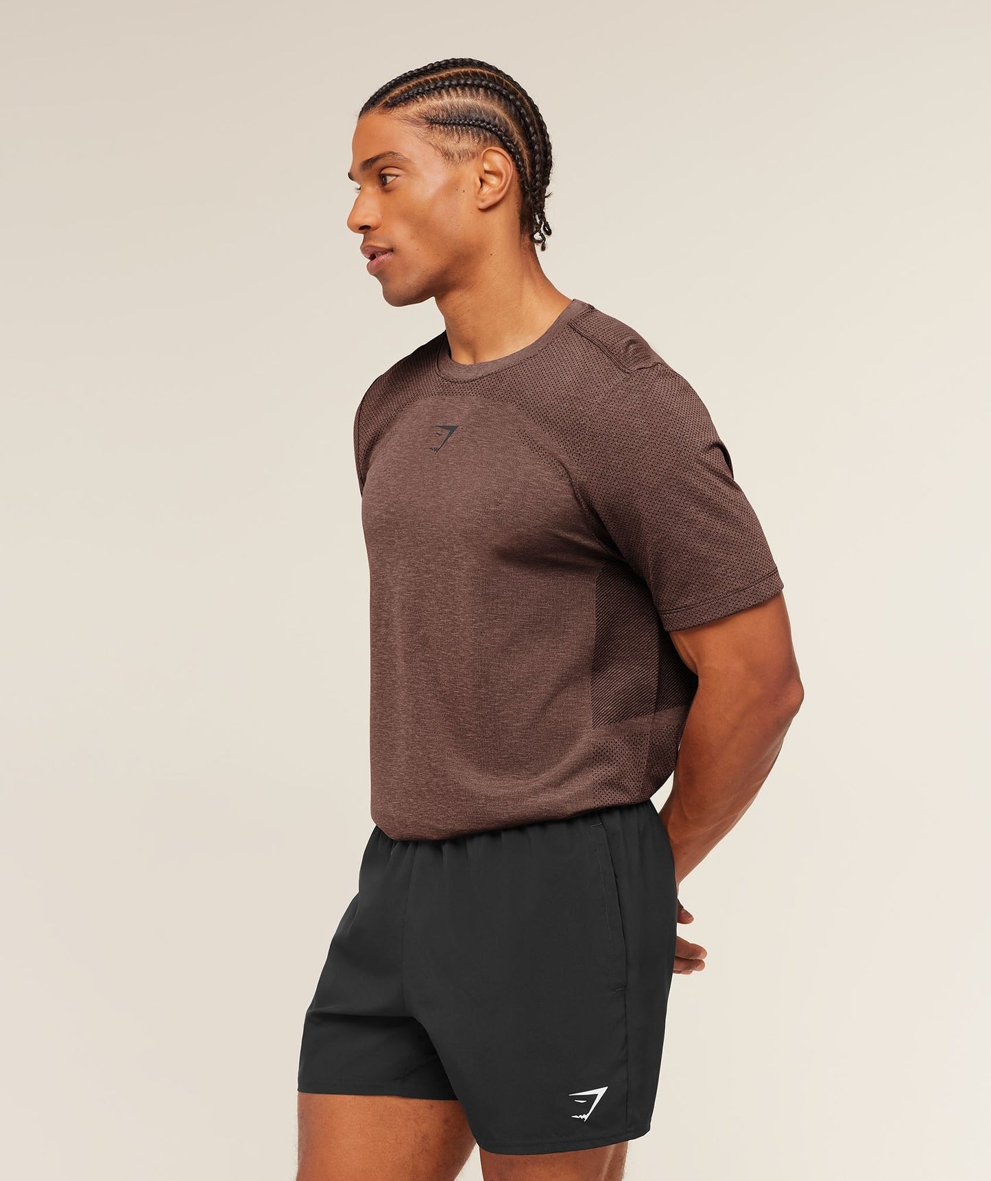 Gymshark Lightweight Seamless T-Shirt - Soft Brown/Marl