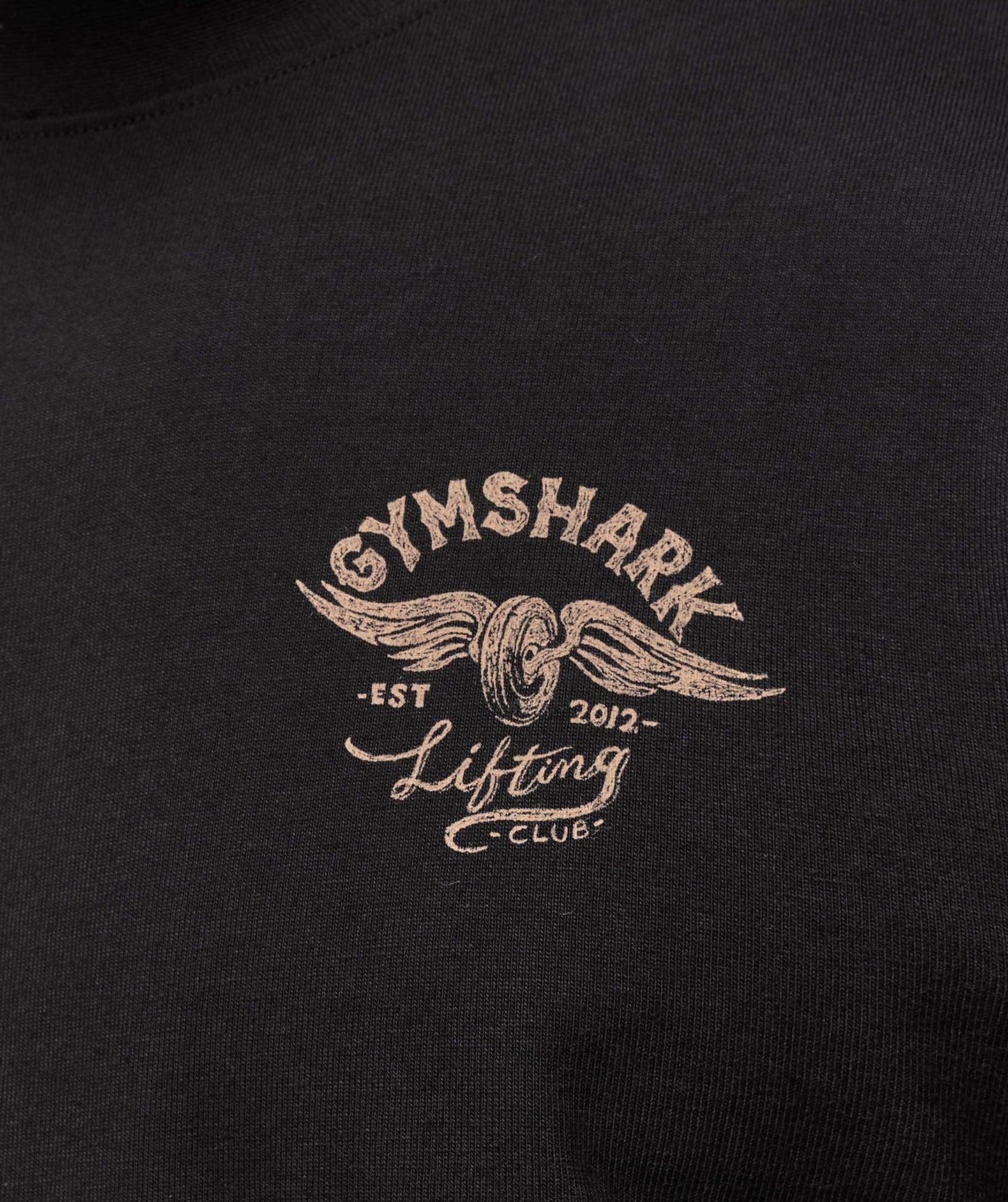 Gymshark Flying Weights T-Shirt - Black