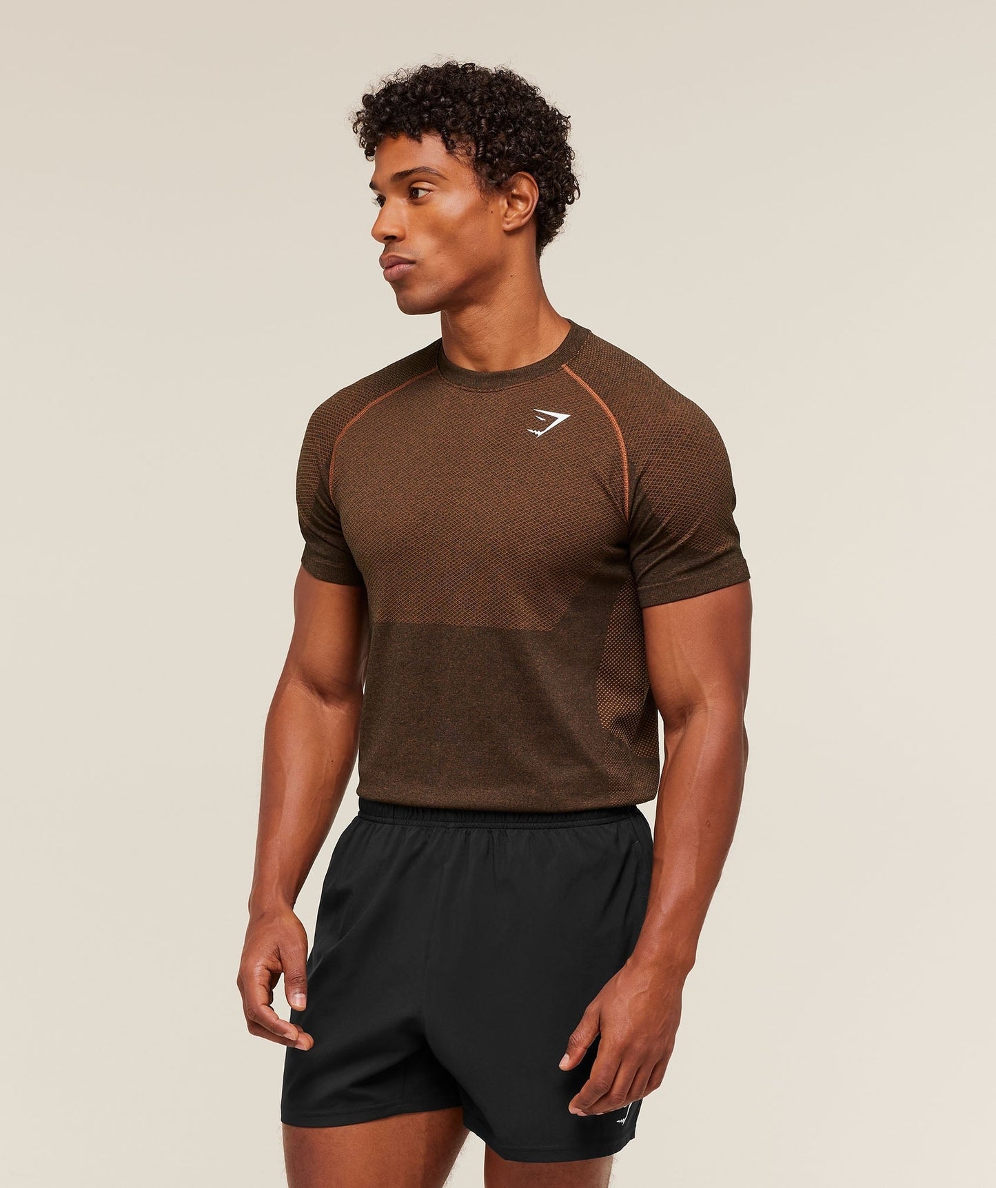 Gymshark Vital Seamless T-Shirt - Black/Spiced Brown