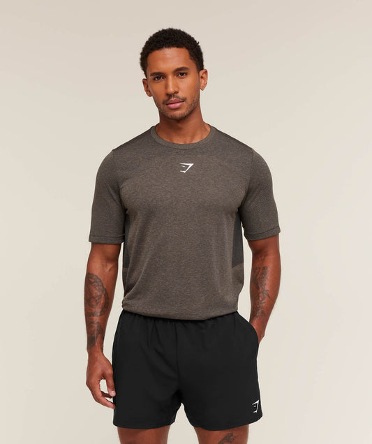 Gymshark Lightweight Seamless T-Shirt - Archive Brown/Cement Brown