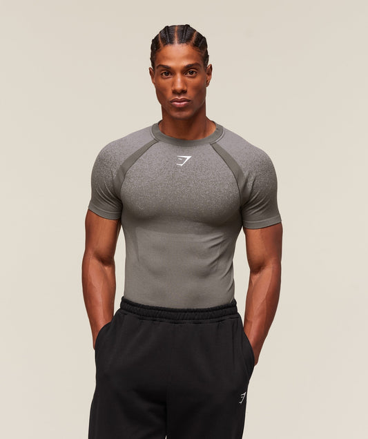 Gymshark Shadow Seamless T Shirt - Meteor Grey