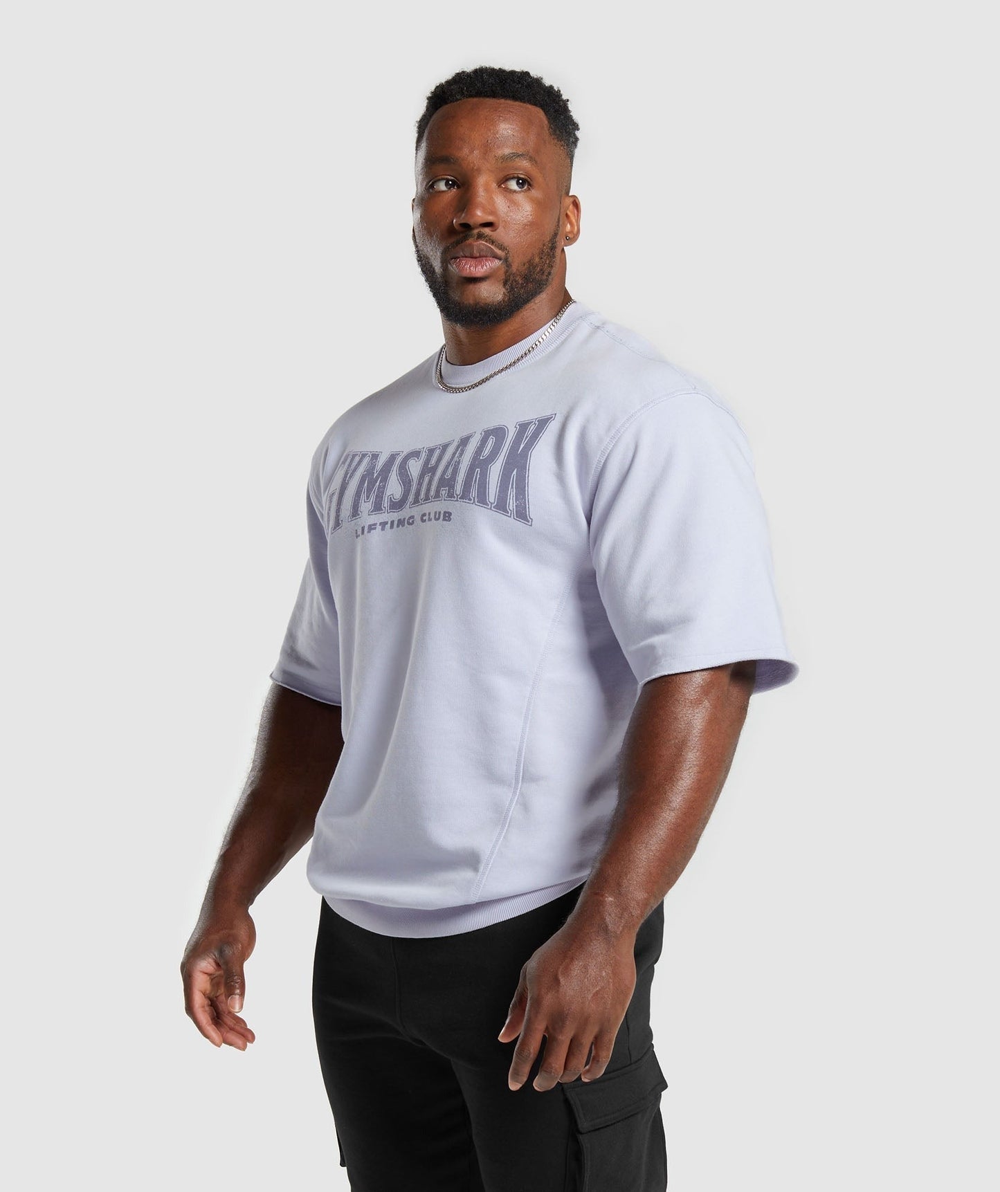 Gymshark Heritage Washed Short Sleeve Crew - Silver Lilac