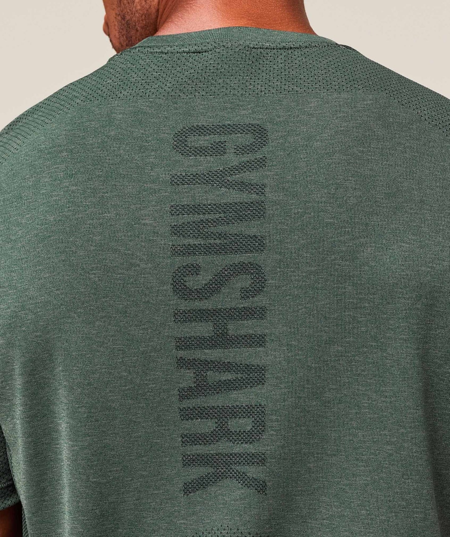 Gymshark Lightweight Seamless T-Shirt - Chalk Green/Base Green