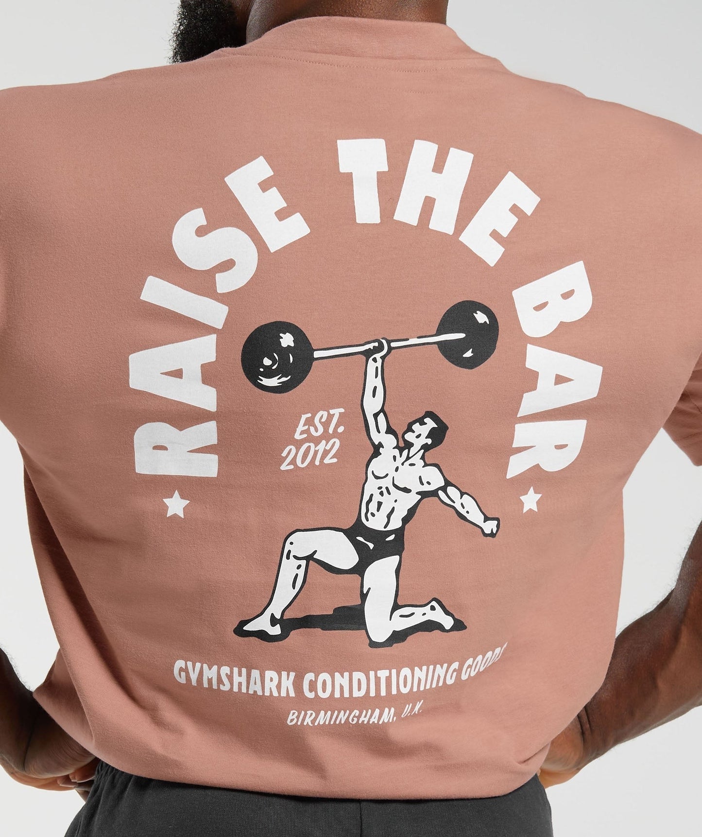 Gymshark Raise the Bar T-Shirt - Faded Pink