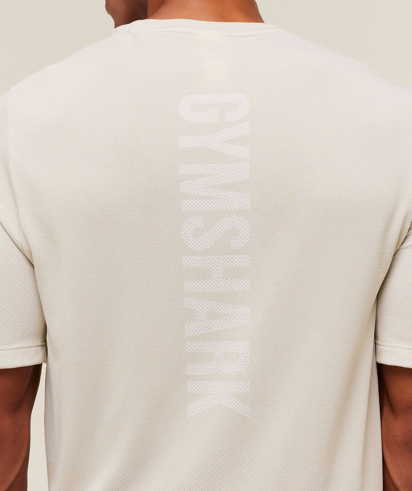 Gymshark Lightweight Seamless T-Shirt - Pebble Grey/White