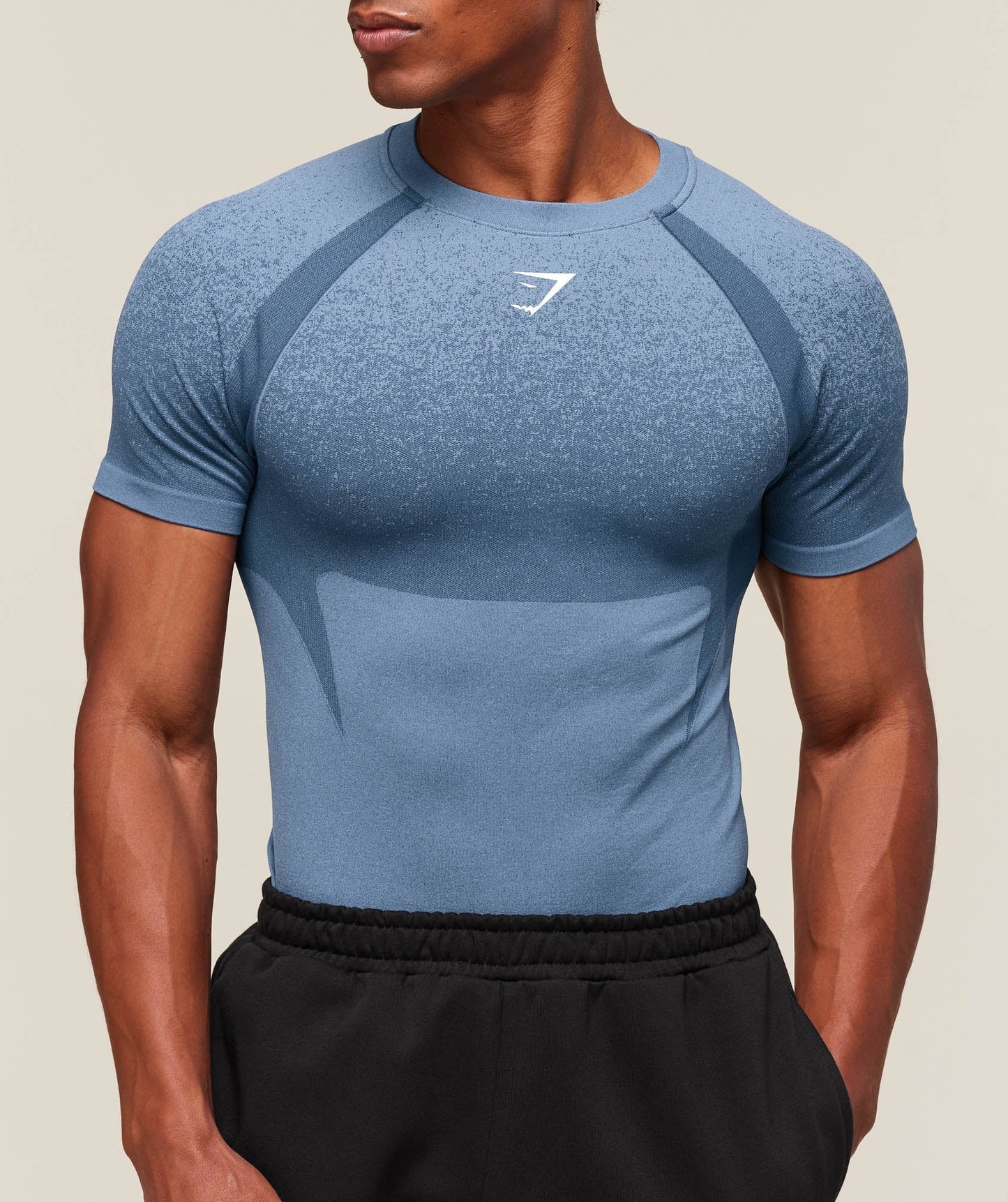 Gymshark Shadow Seamless T Shirt - Faded Blue