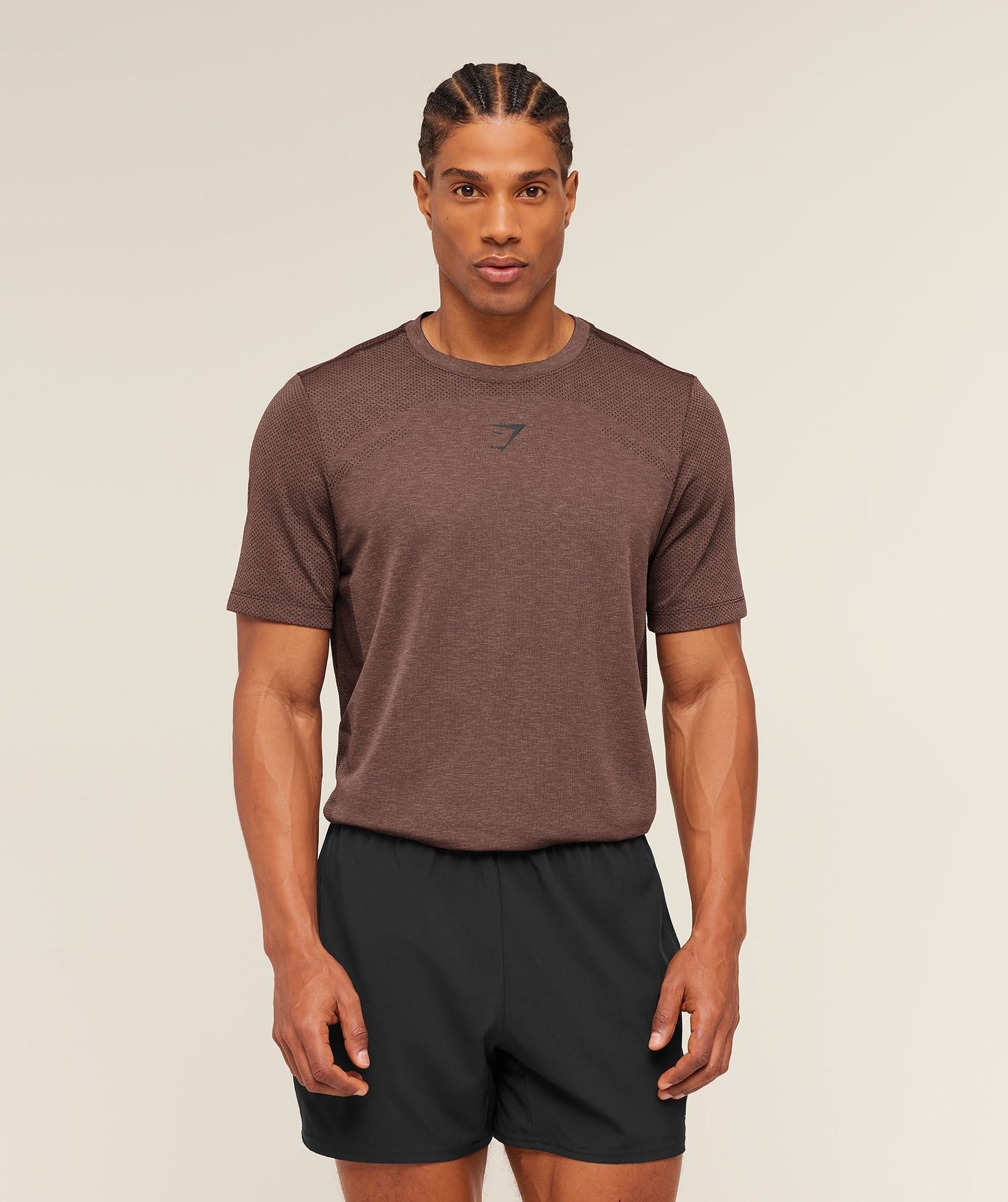Gymshark Lightweight Seamless T-Shirt - Soft Brown/Marl