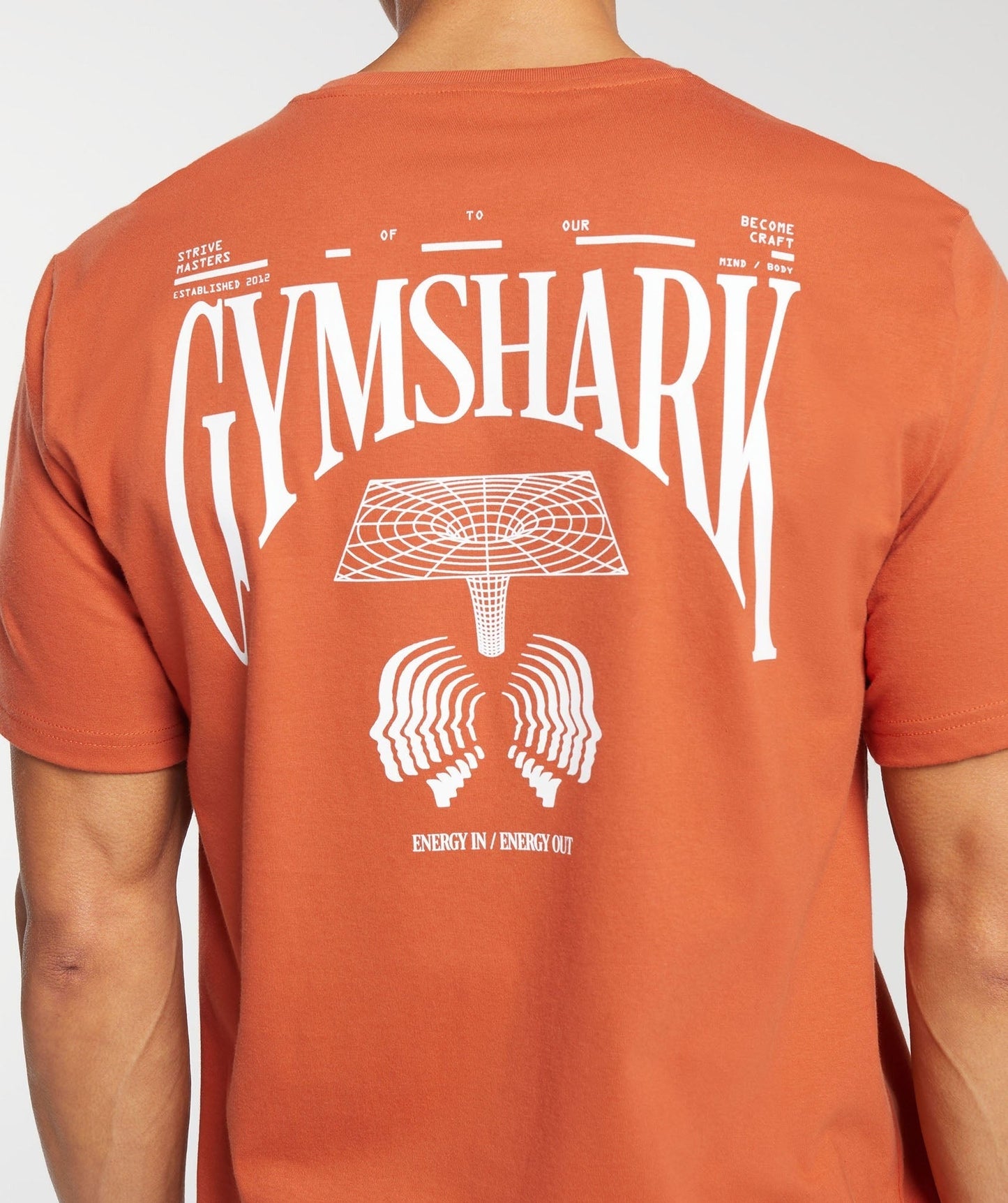 Gymshark Hybrid Wellness T-Shirt - Rust Orange
