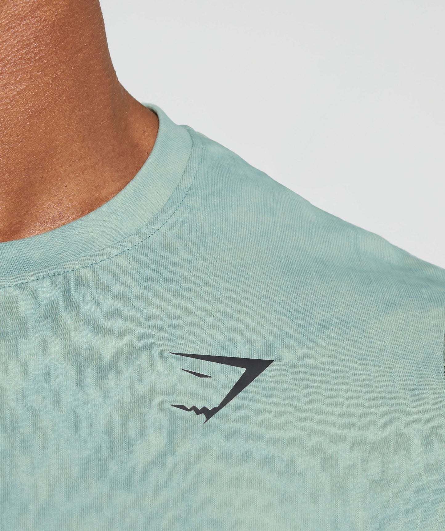 Gymshark Washed Seamless T-Shirt - Blue