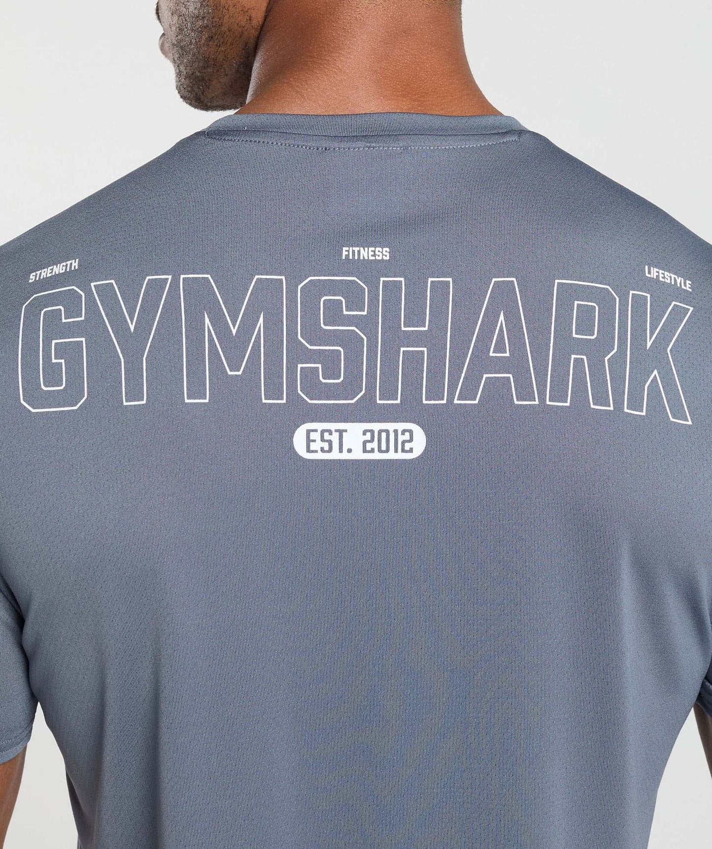 Gymshark Fitness Graphic T-Shirt - Iron Blue