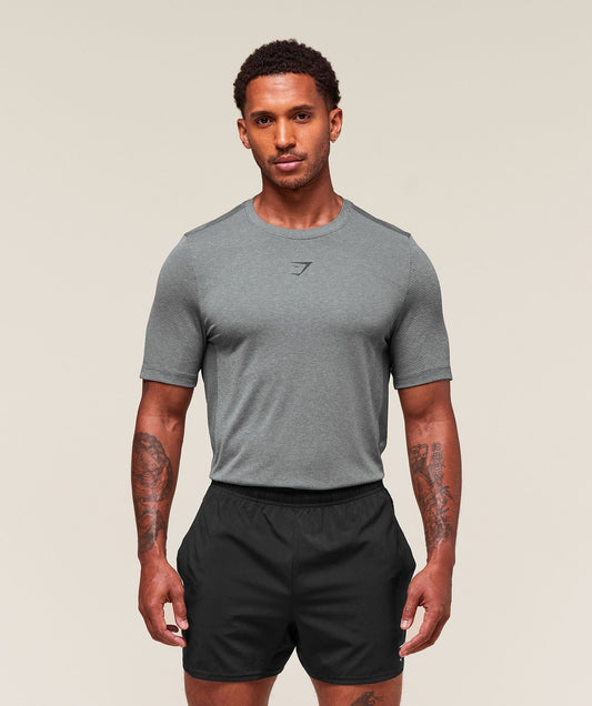 Gymshark Lightweight Seamless T-Shirt - Light Grey/Smokey Grey