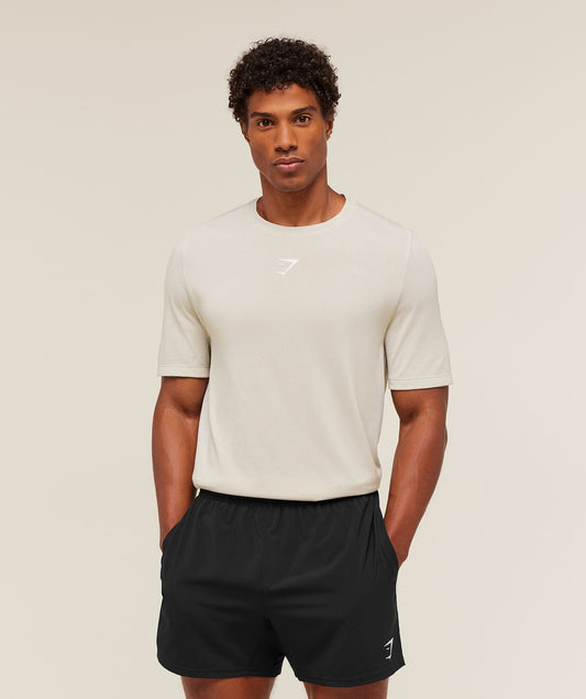 Gymshark Lightweight Seamless T-Shirt - Pebble Grey/White