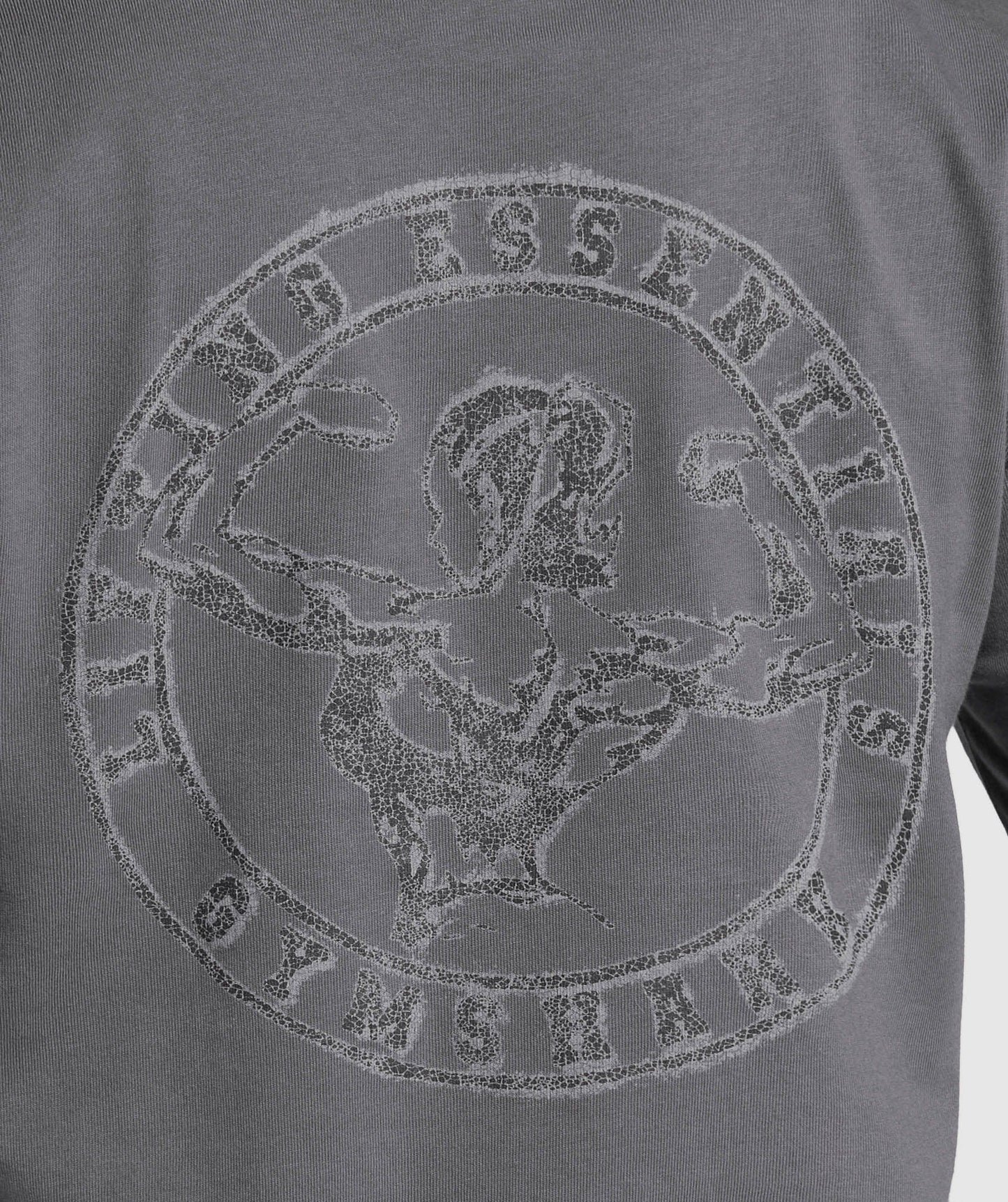 Gymshark Back Gains Graphic Oversized Tee - Graphite Grey