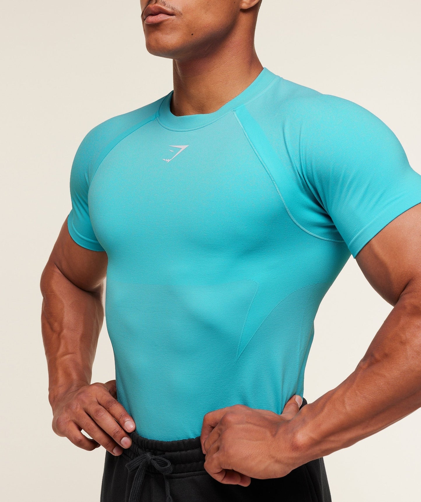 Gymshark Shadow Seamless T Shirt - Brand Blue