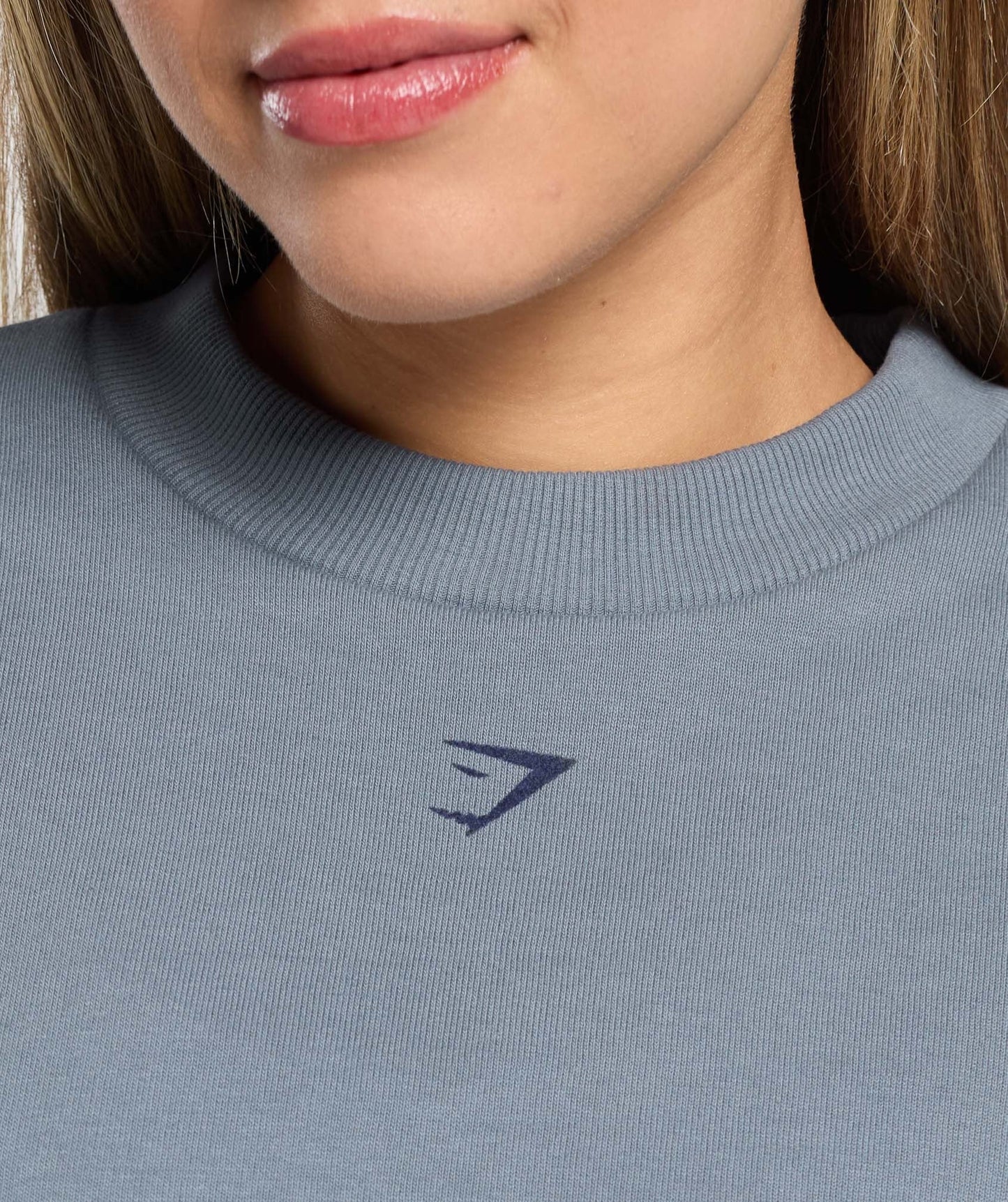 Gymshark Campus Classics Graphic Sweatshirt - Iron Blue