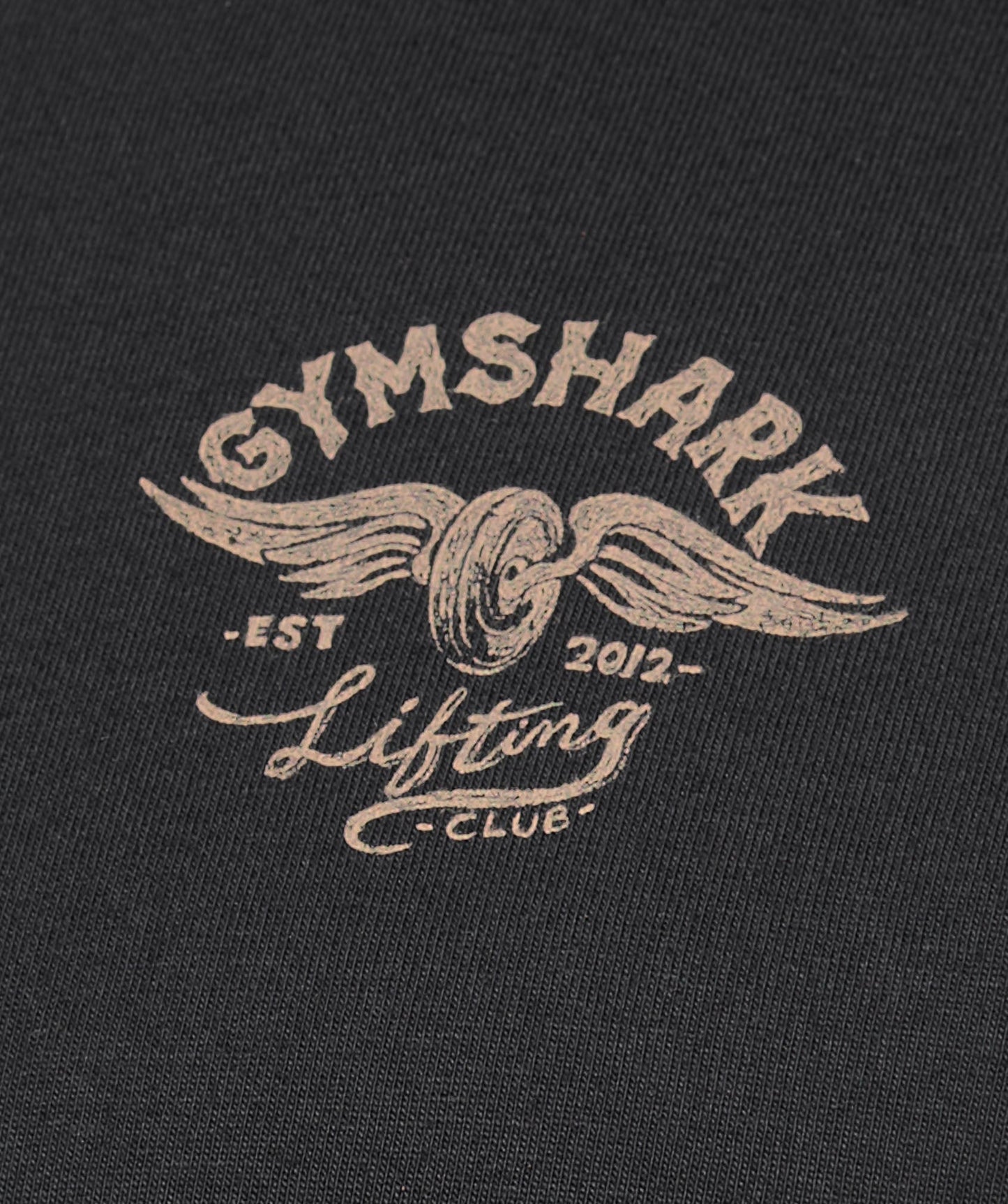 Gymshark Flying Weights Long Sleeve T-Shirt - Black