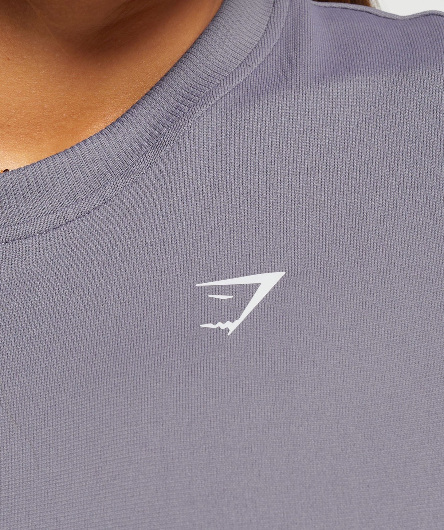 Gymshark Everyday Seamless T-Shirt - Fog Purple