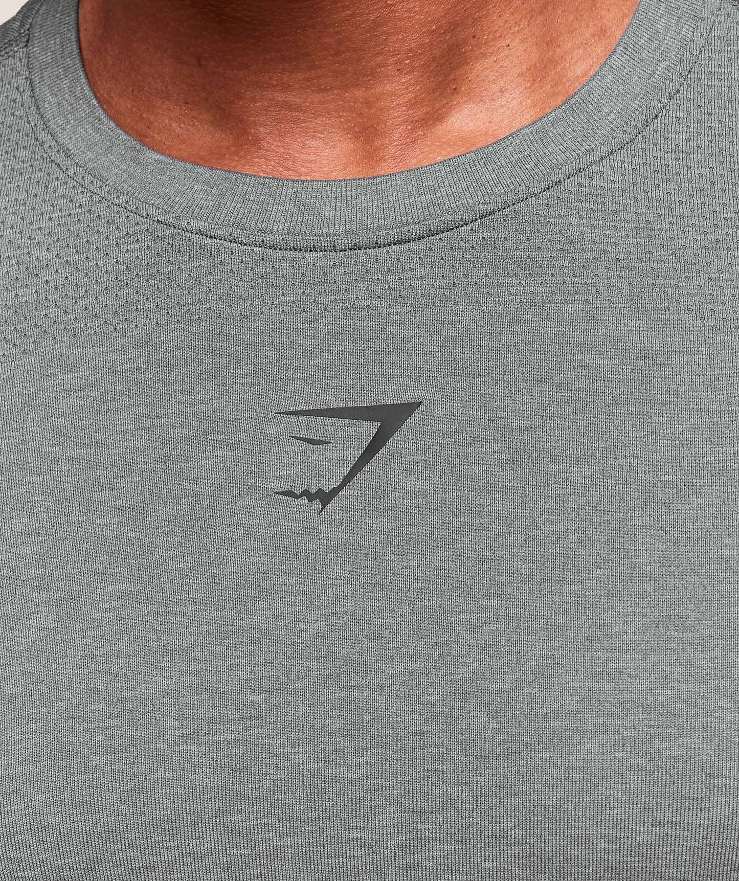 Gymshark Lightweight Seamless T-Shirt - Light Grey/Smokey Grey