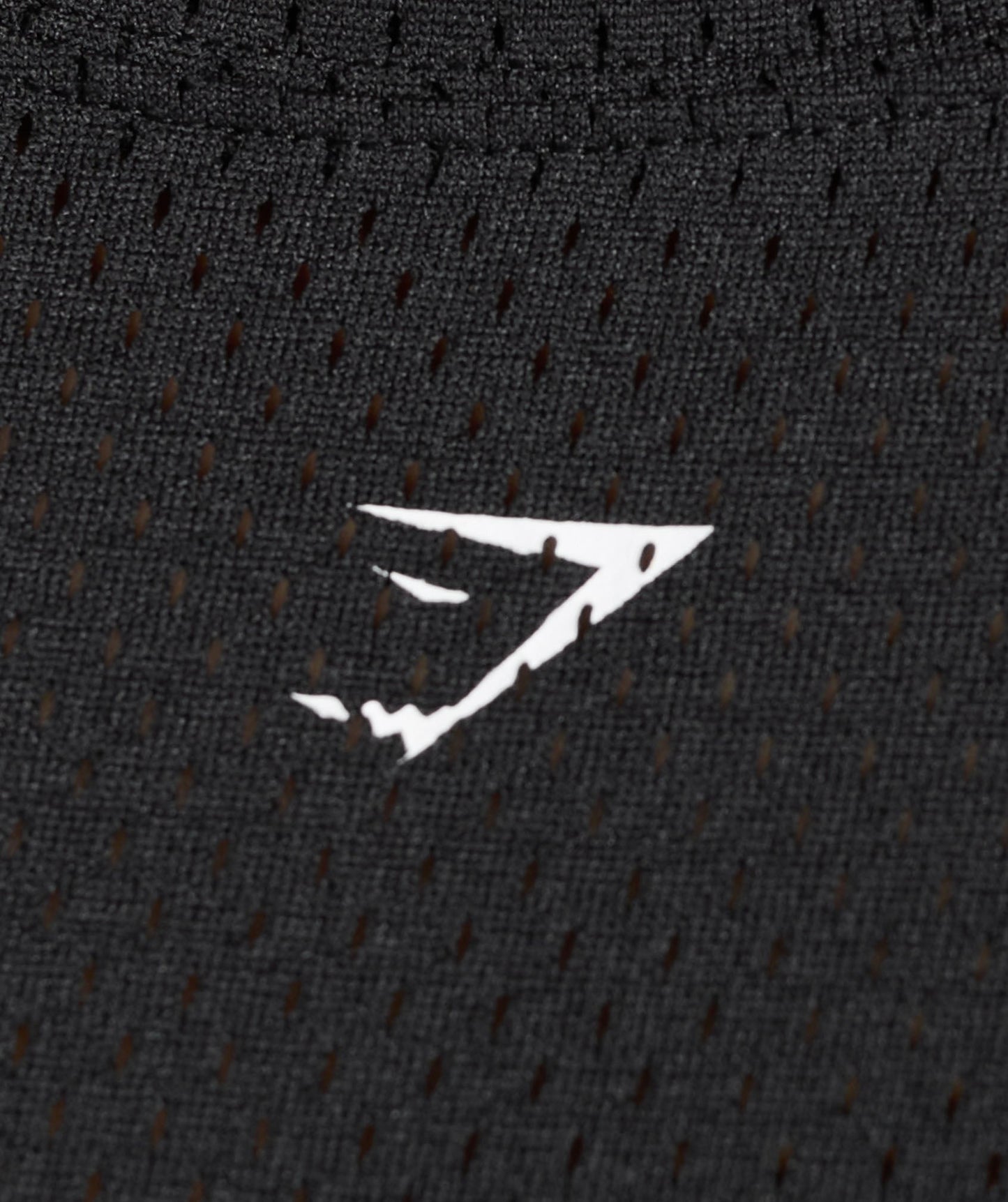 Gymshark Mesh Graphic Oversized T-Shirt - Black