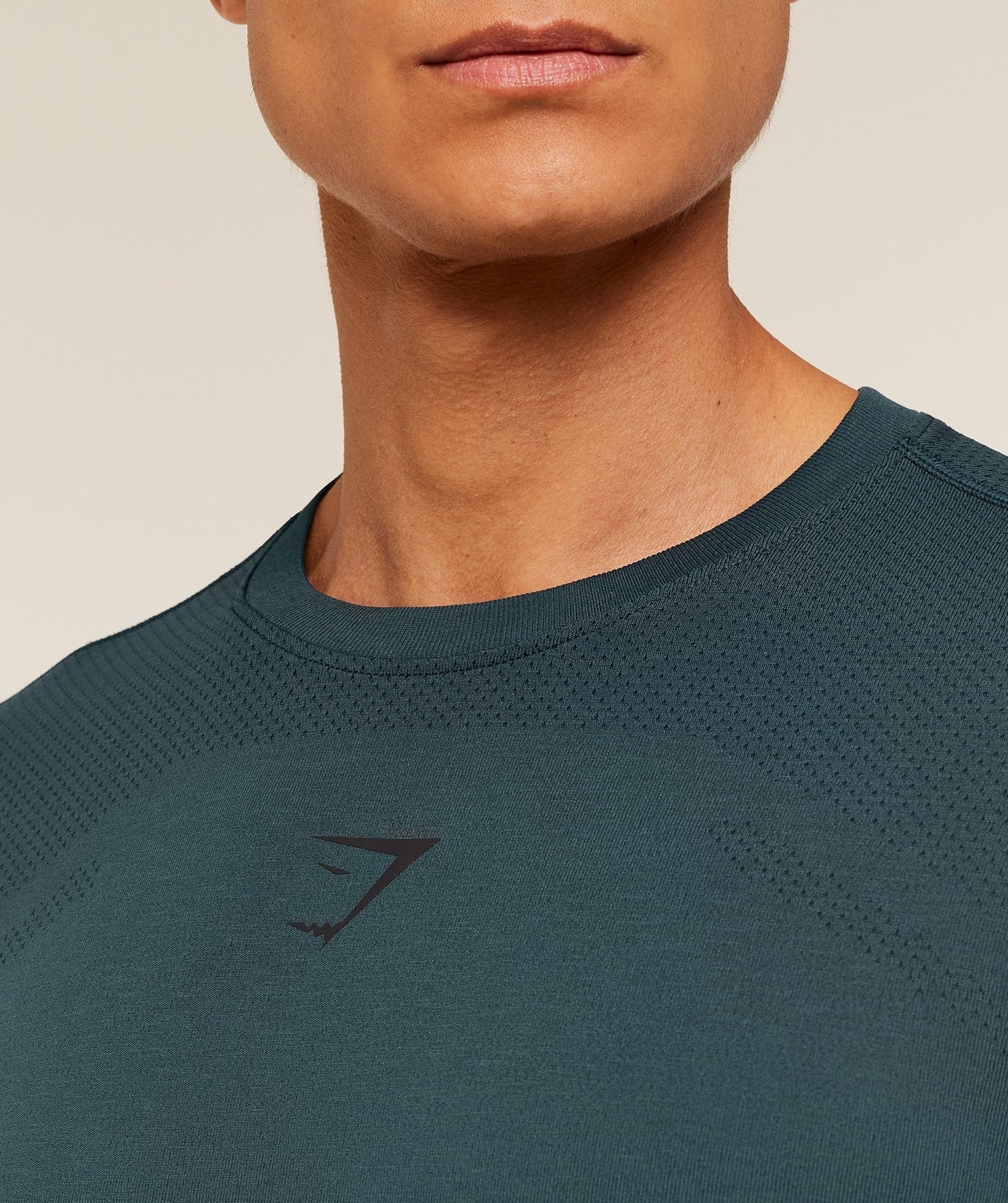Gymshark Lightweight Seamless T-Shirt - GS Deep Petrol Blue/ Marl