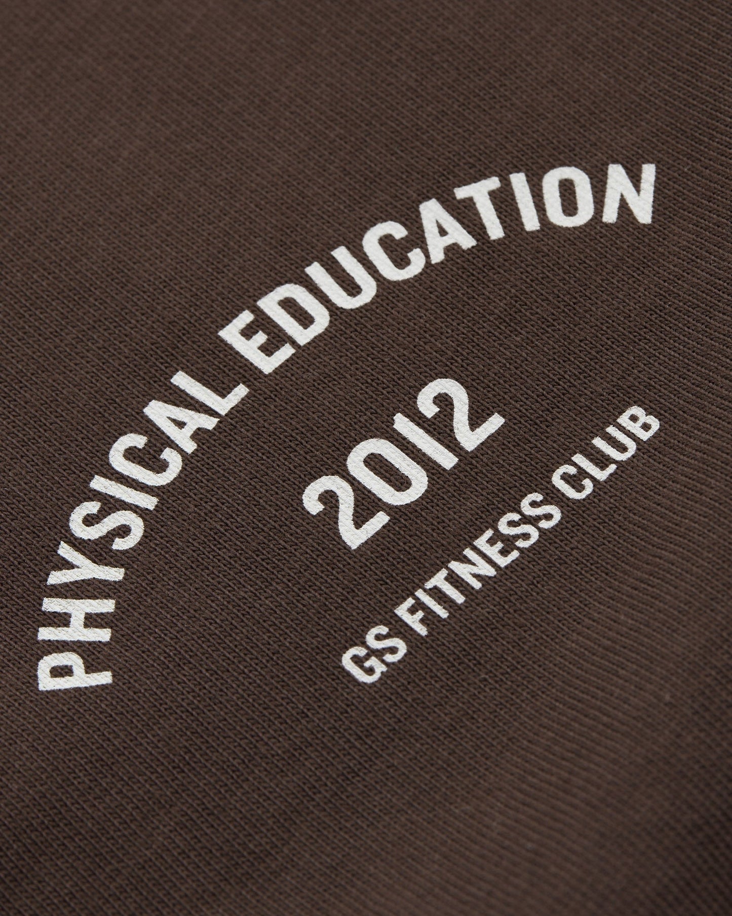 Gymshark Phys Ed Graphic T-Shirt - Archive Brown