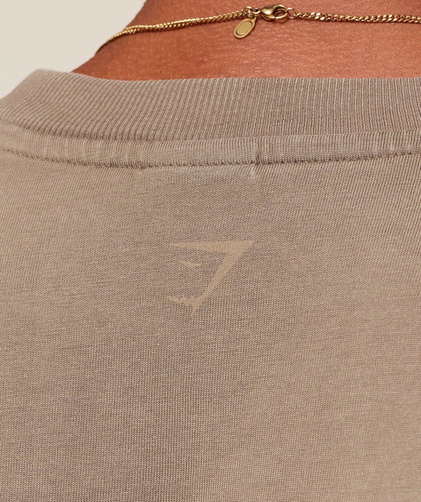 Gymshark Collegiate Washed T-Shirt - Soft Brown