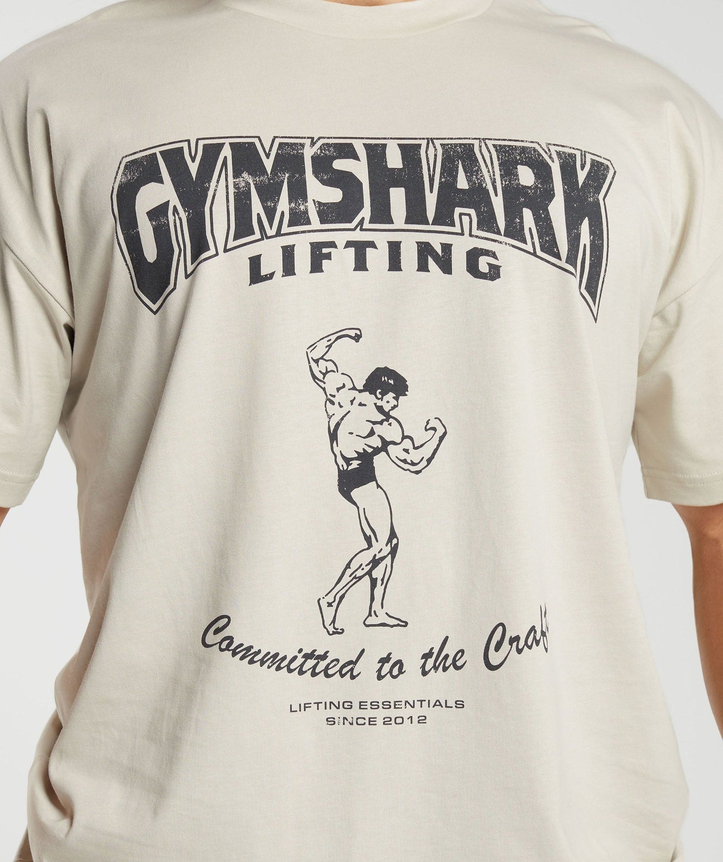 Gymshark Committed to the Craft T-Shirt - Pebble Grey