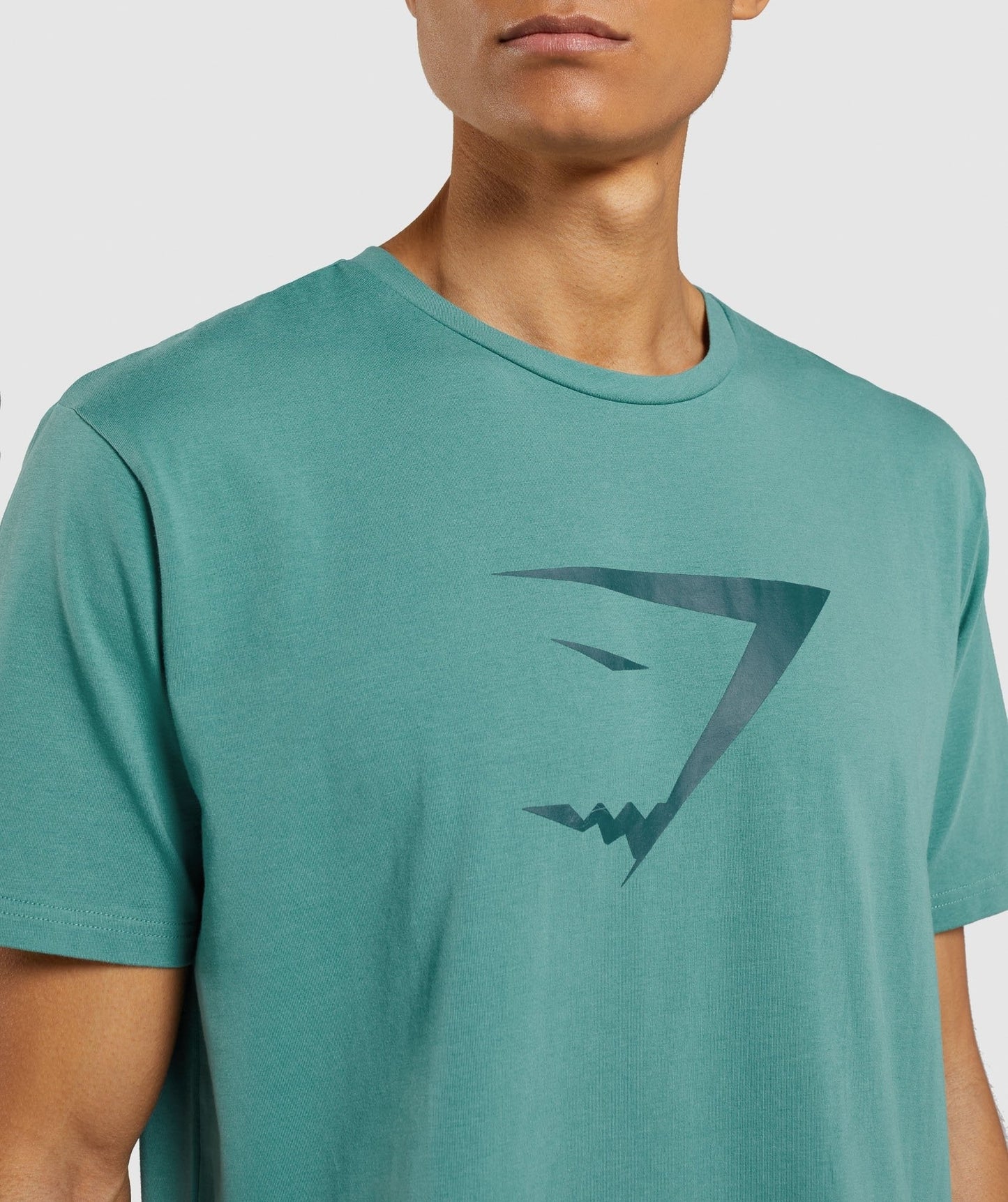 Gymshark Sharkhead Infill T-Shirt - Teal