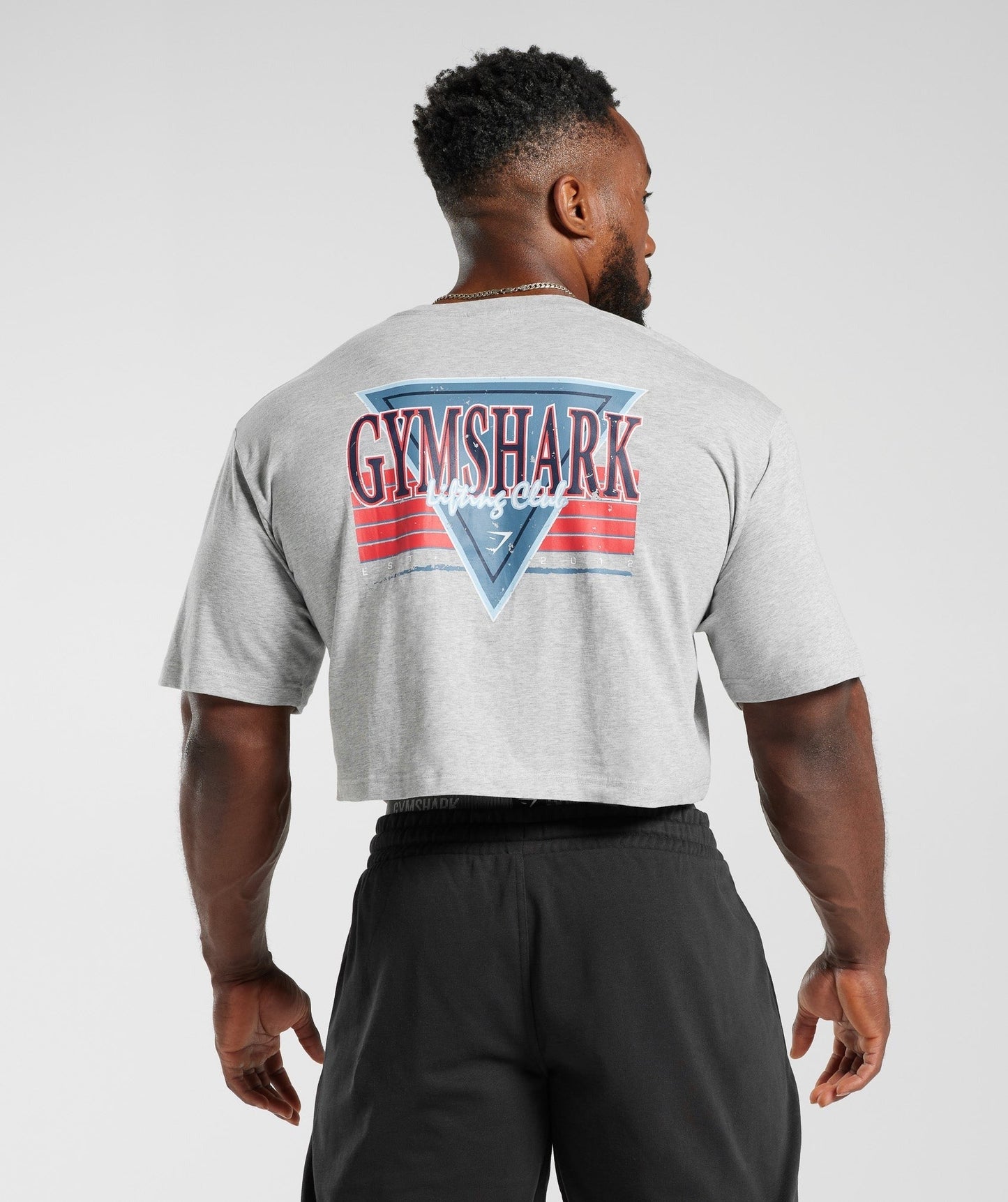 Gymshark Retrowave Crop T-Shirt - Light Grey Core Marl