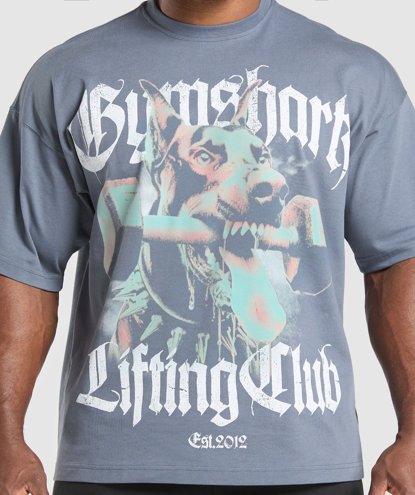 Gymshark Doberman Graphic T-Shirt - Iron Blue