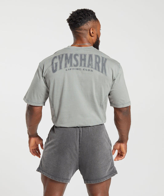 Gymshark Heritage Washed T-Shirt - Smokey Grey