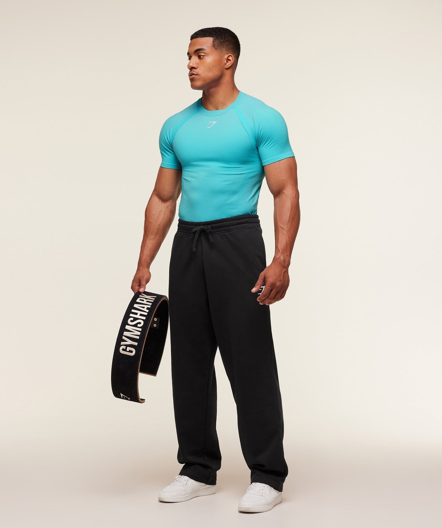Gymshark Shadow Seamless T Shirt - Brand Blue